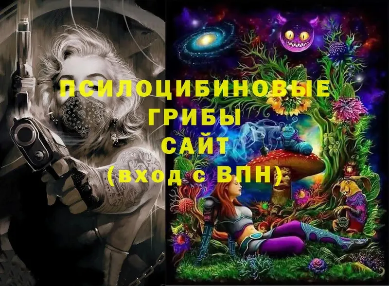 Галлюциногенные грибы Cubensis Кяхта